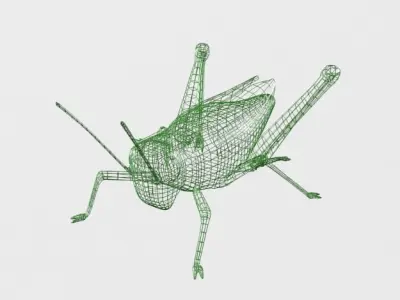 Grasshopper Low-poly 3D model