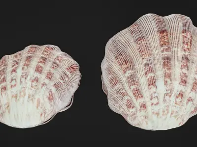 Sea Shell With Pearl Low-poly 3D model