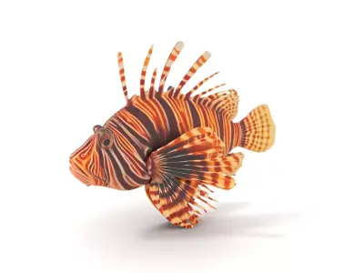 Vibrant Lionfish Aquatic model pack Low-poly 3D model