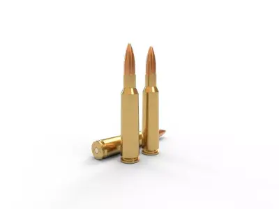 460 Steyr Ammo Low-poly 3D model
