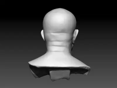 Bust of Man 3D print model