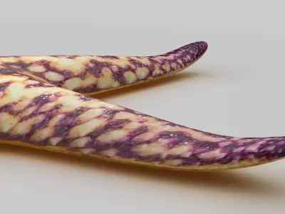 Starfish Sea star Low-poly 3D model