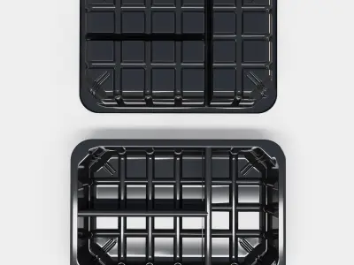  Vacuum Plastic Tray Black Gloss Triple Compartment 3D model