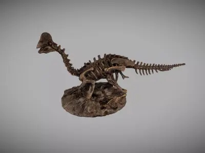 Dinosaur Fossil Statue 3D model
