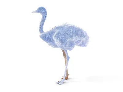 Ostrich Model Pack with Detailed Feather Texture Low-poly 3D model