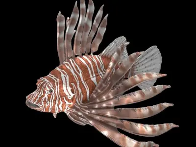Lionfish 3D model