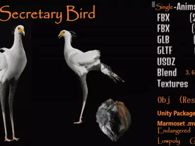 Secretary Bird Free 3D model