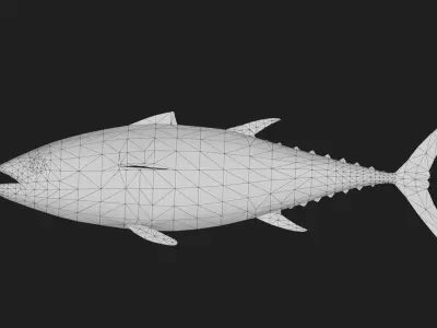 Tuna fish Low-poly 3D model