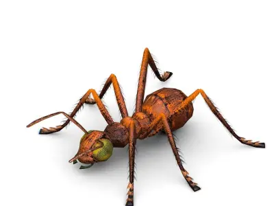 LowPoly Giant Crimson Ant Low-poly 3D model
