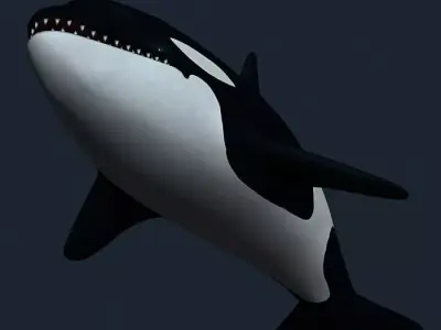 3DRT - Sealife - Orca Killer  Whale Low-poly 3D model