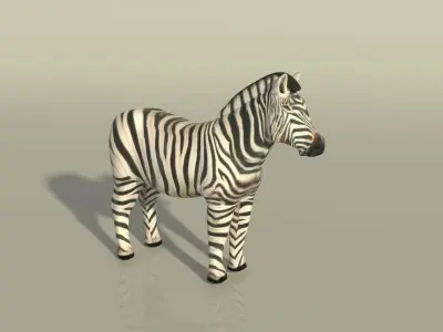 Zebra 3D model