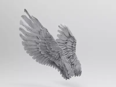 Wings Side angel 3D model