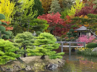 Bundle 24 - Japanese Garden 3D model