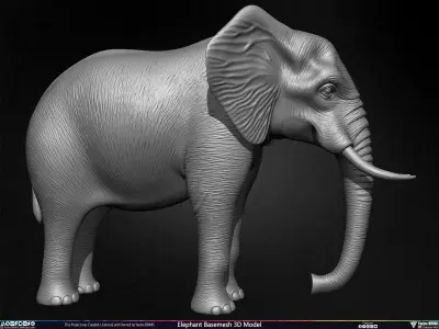 Elephant Basemesh 3D Model Low-poly 3D model