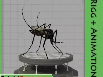 Aedes Aegypti Low-poly 3D model