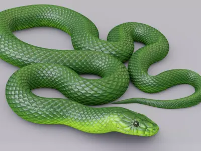 Animated Green Mamba Free low-poly 3D model