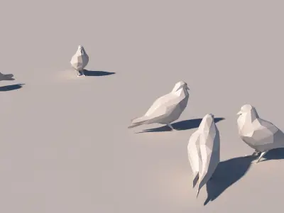 Lowpoly Pigeon 001 3D model