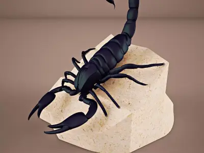 Scorpion on rock 3D model