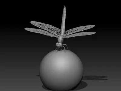 Dragonfly 3D print model