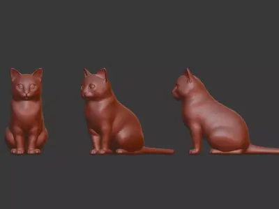 Cat Kitten 3D Scan Print 3D model