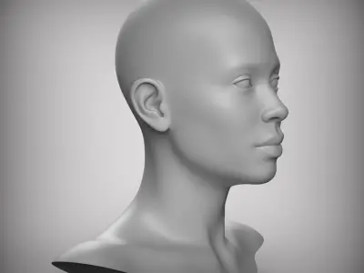 10 Realistic Female Asian American head Low-poly 3D model Low-poly 3D model