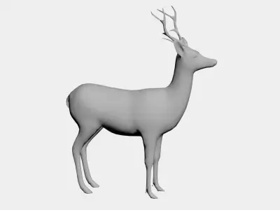 Deer-wild animals 3D model