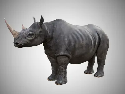 Rhino  Low Poly Rigged with high quality texture Low-poly 3D model