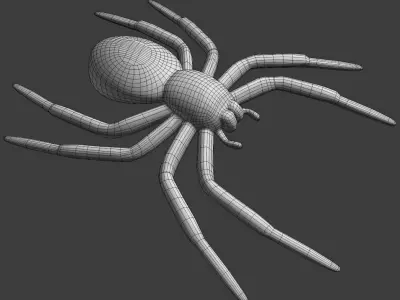 A small Spider 3D print model