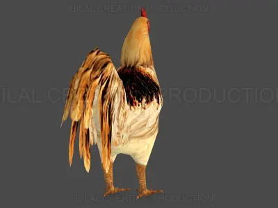 Rooster Animated Low-poly 3D model