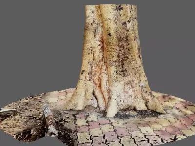 Tree Trunk 2 for 3d Model - 3d Scan 3D model