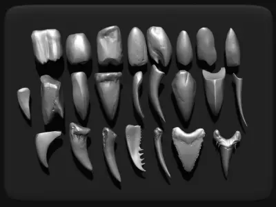 TEETH - Zbrush 24 Assorted Teeth IMM Brush plus OBJs 3D model