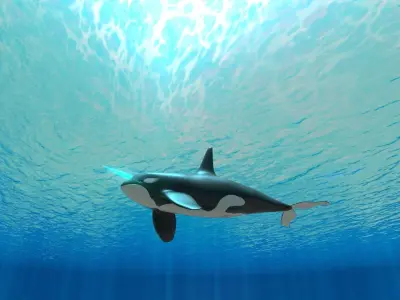 Killer Whale Divine Free low-poly 3D model