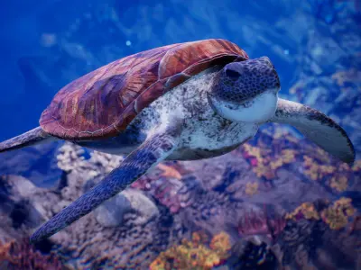 Sea Animals 12 Meshes Low-poly 3D model