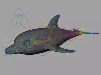 Rig Dolphin Low-poly 3D model