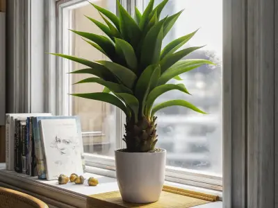  Agave Plant Succulent Potted Plant Model 