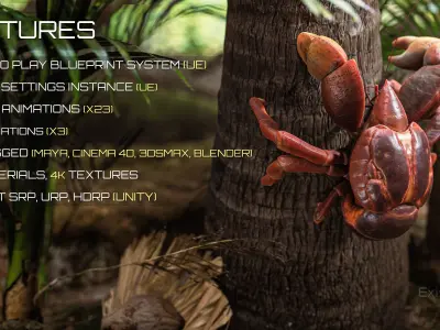 Coconut Crab - Snappy Palm Thief - Underwater Monster - 47 Low-poly 3D model