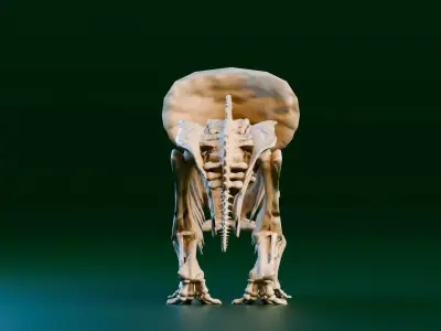 Realistic Ancient Reptilians Fossil - Triceratops Low-poly 3D model