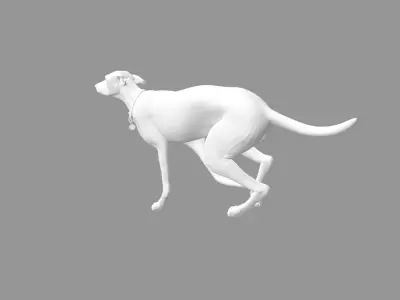 Running greyhound 3D model