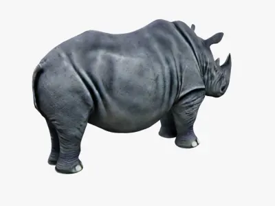 Rhino Free 3D model