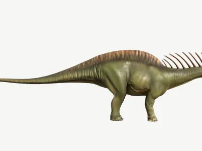Amargasaurus dinosaur Low-poly 3D model