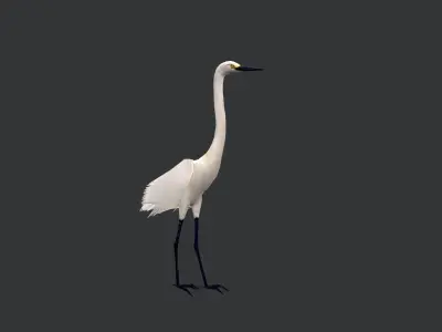 animated egret Low-poly 3D model
