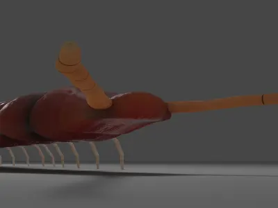 Millipede Arthropod Insect Free low-poly 3D model