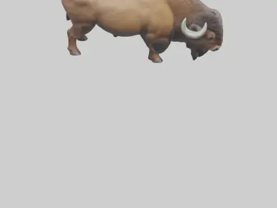 Bison grazing model 3D model