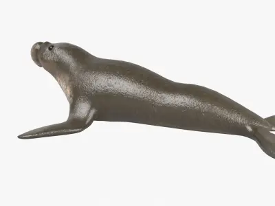 Elephant Seal Low-poly 3D model