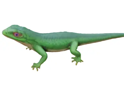 Lizard Low-poly 3D model