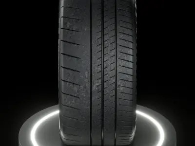 Michelin Pilot Sport CUP 2 R 315 30 ZR21 105Y GT3 3D model