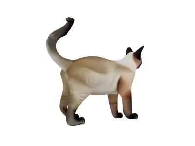 Realistic standing siamese cat with vivid blue eyes Free 3D model