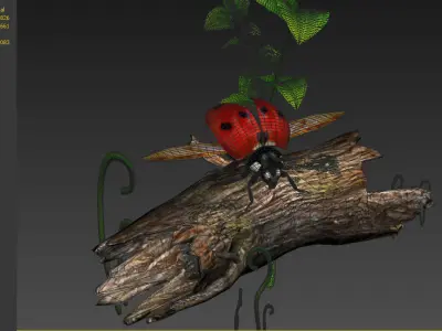NSECTS ladybugs lady flowers beetles 3D model