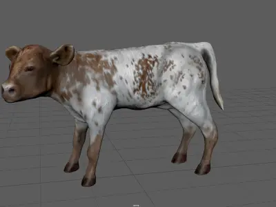 REALISTIC CALF cow 3D model