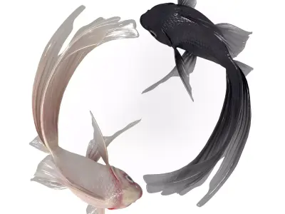 Yin Yang Fish Low-poly 3D model